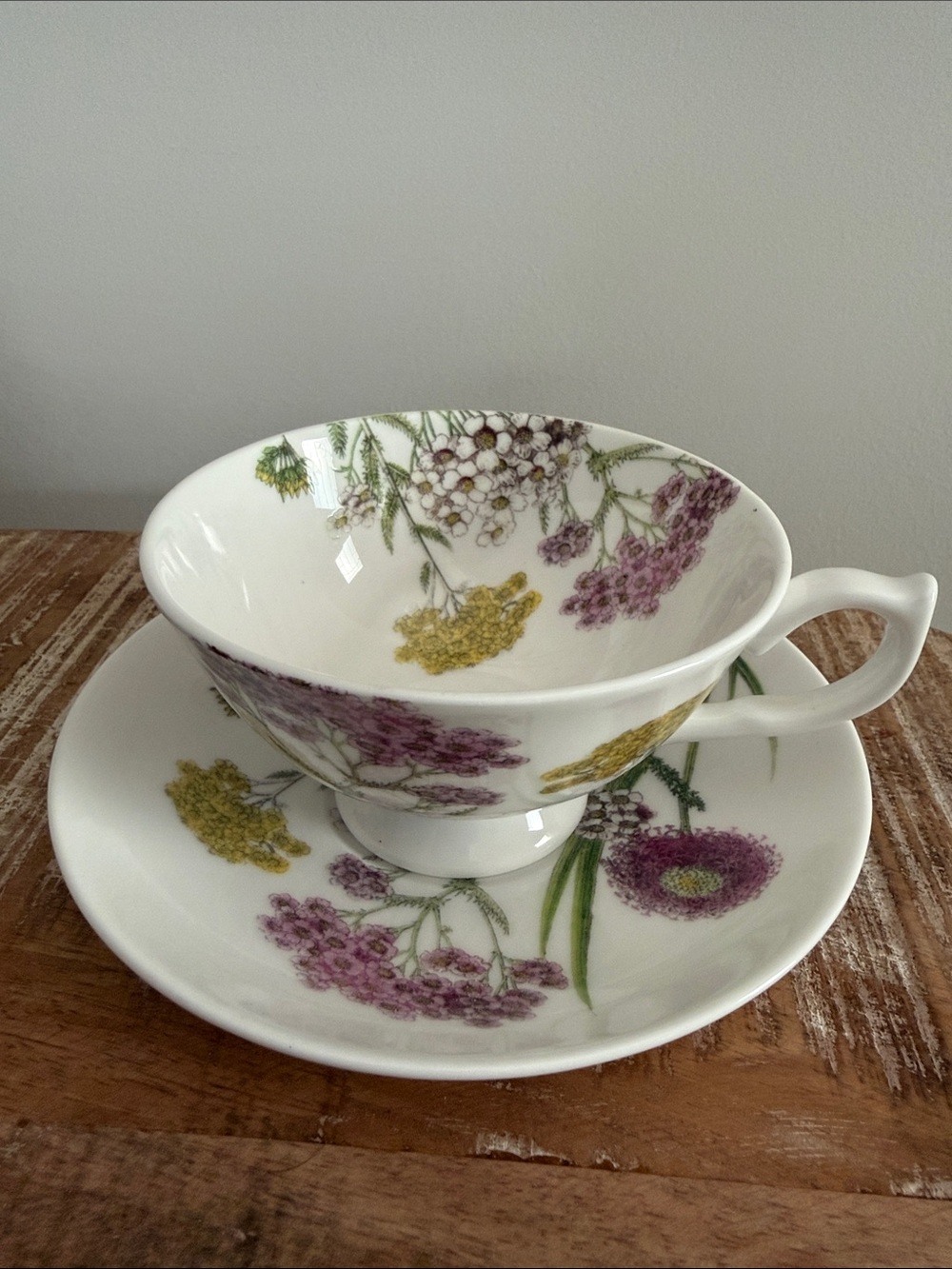 Stechcol Gracie Bone China Flower Fields Floral Tea Cup Saucer